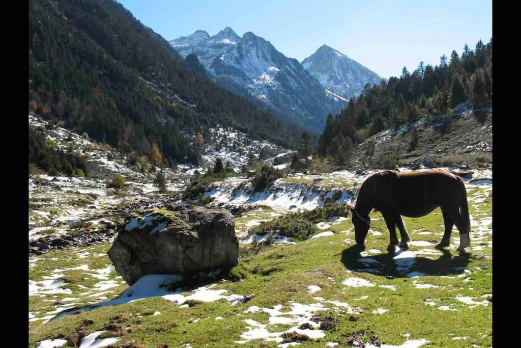 Chaleureux Studio Familal "Lougrand Iii" Cauterets Zewnętrze zdjęcie